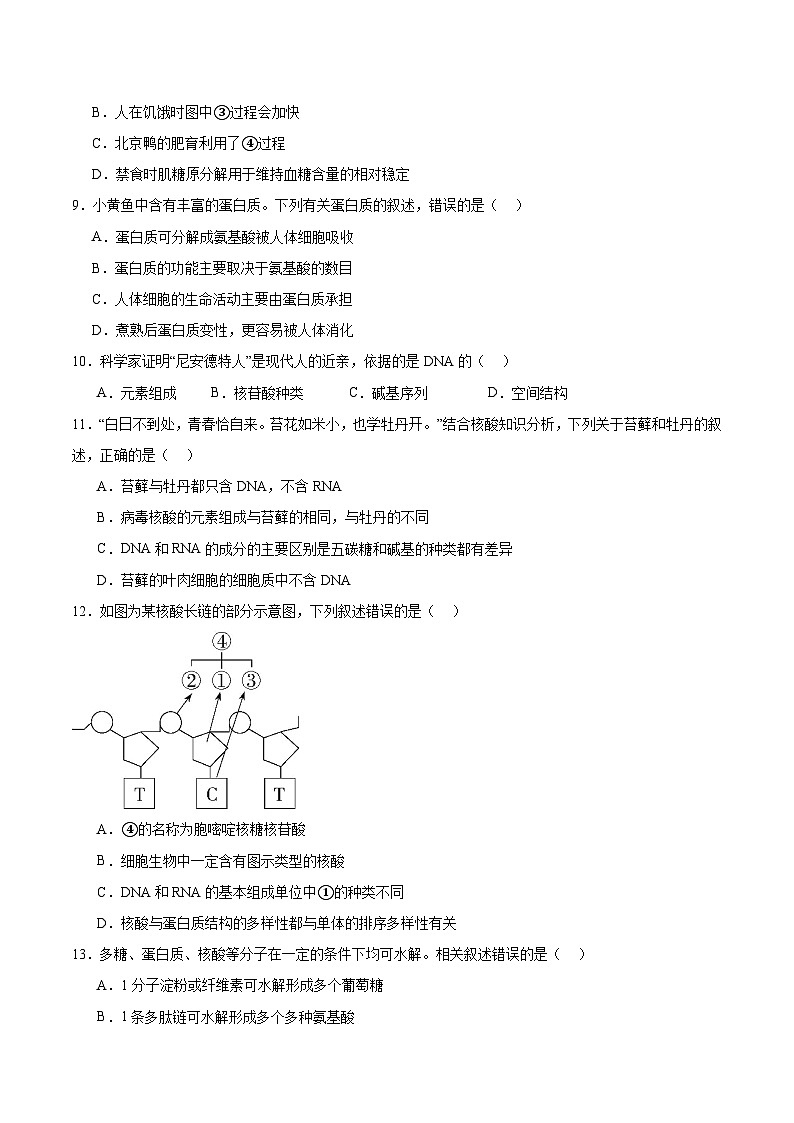 江苏省海门中学2025-2026学年高一上学期10月学情调研生物试卷（Word版附答案）第3页