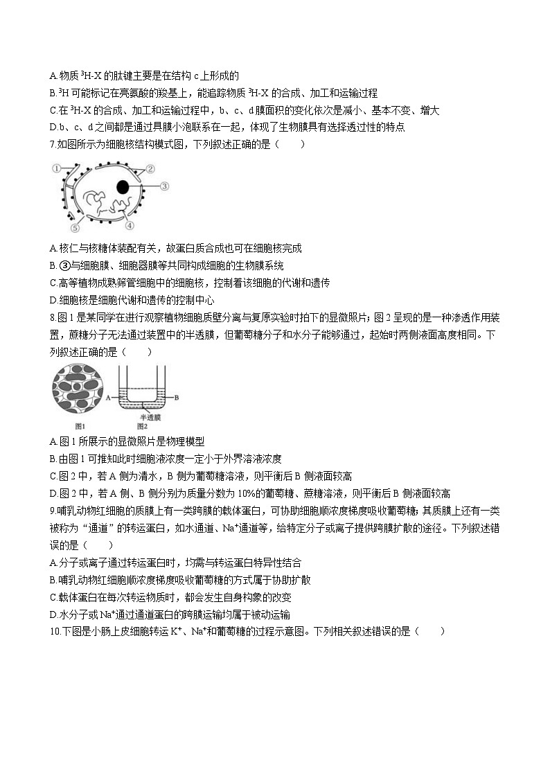 辽宁省实验中学2025-2026学年高一上学期12月第二次月考生物试卷（Word版附答案）第2页