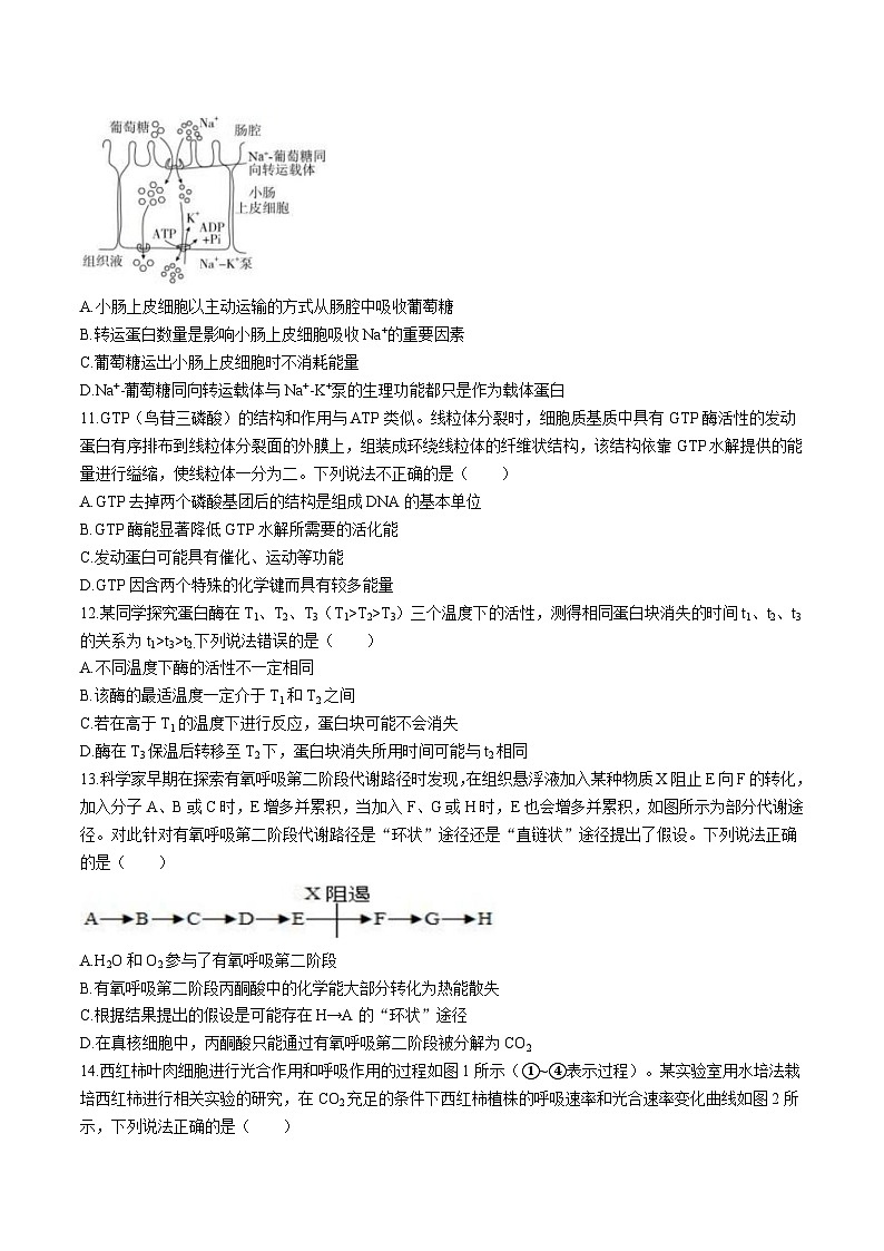 辽宁省实验中学2025-2026学年高一上学期12月第二次月考生物试卷（Word版附答案）第3页