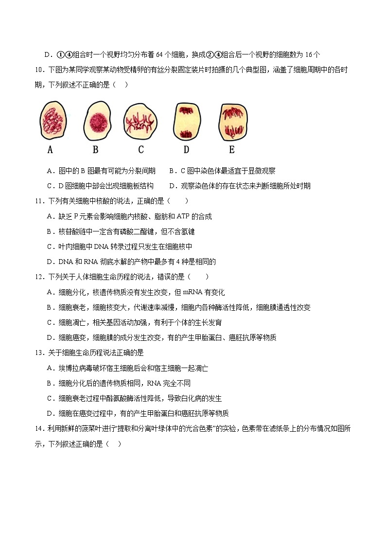 内蒙古巴彦淖尔市第一中学2025-2026学年高一上学期12月月考生物试卷（Word版附答案）第3页