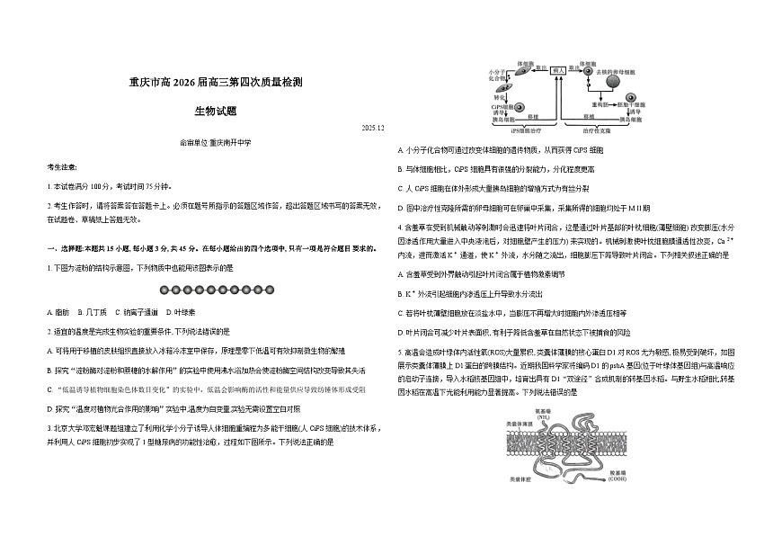 重庆市2026届高三上学期12月第四次质量检测生物试卷（Word版附解析）第1页