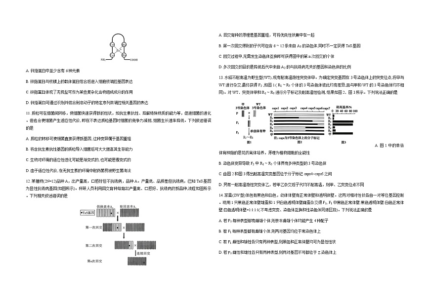 重庆市2026届高三上学期12月第四次质量检测生物试卷（Word版附解析）第3页