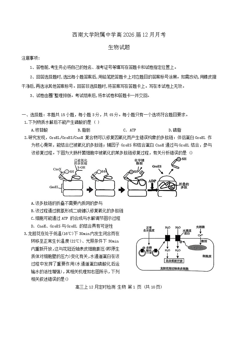 西南大学附属中学校2026届高三上学期12月月考生物试卷第1页