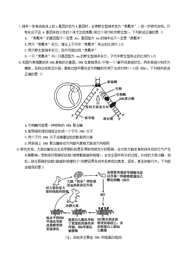西南大学附属中学校2026届高三上学期12月月考生物试卷第3页