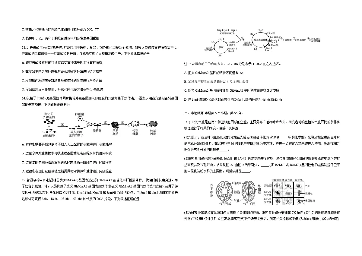 四川省成都市第七中学2026届高三上学期一诊模拟考试生物试卷（Word版附答案）第3页