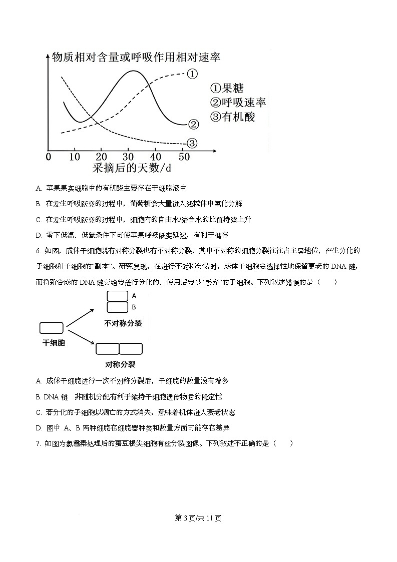 2026届安徽省高三名校名师测评卷三（期中考试）生物学试题 Word版无答案第3页