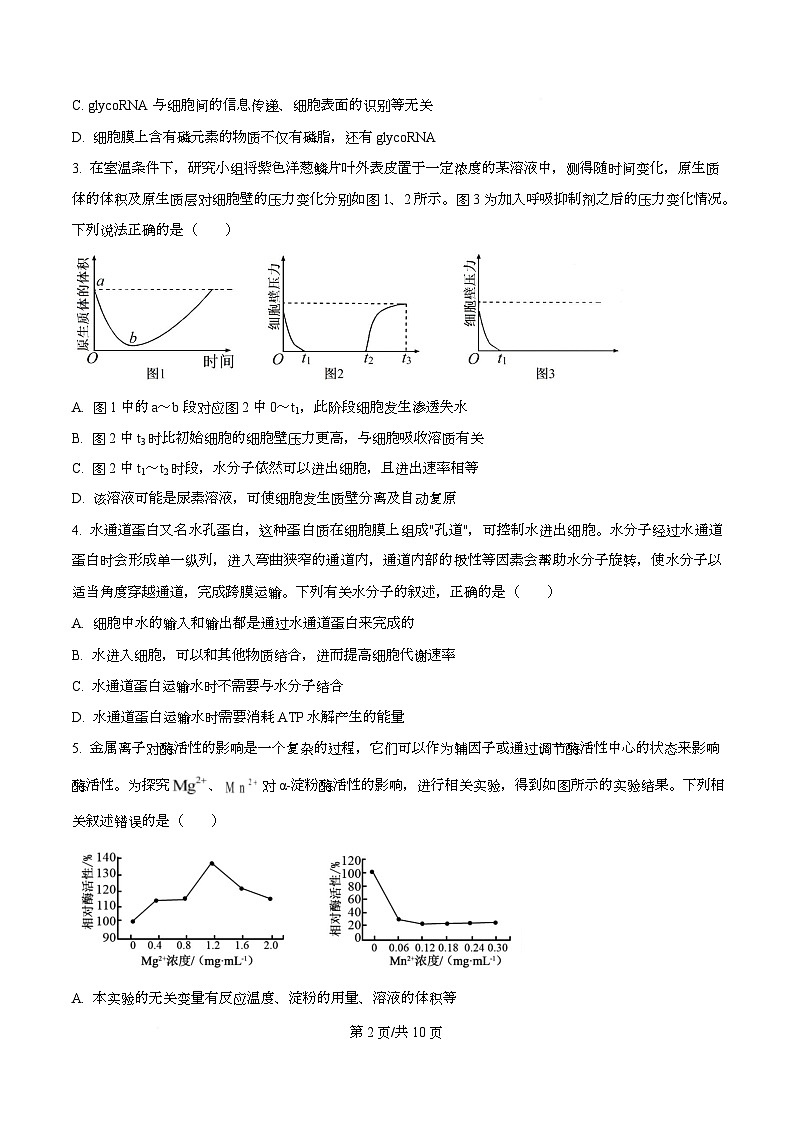 2026届安徽省皖南八校高三上学期12月第二次大联考生物试题 C卷  Word版无答案第2页