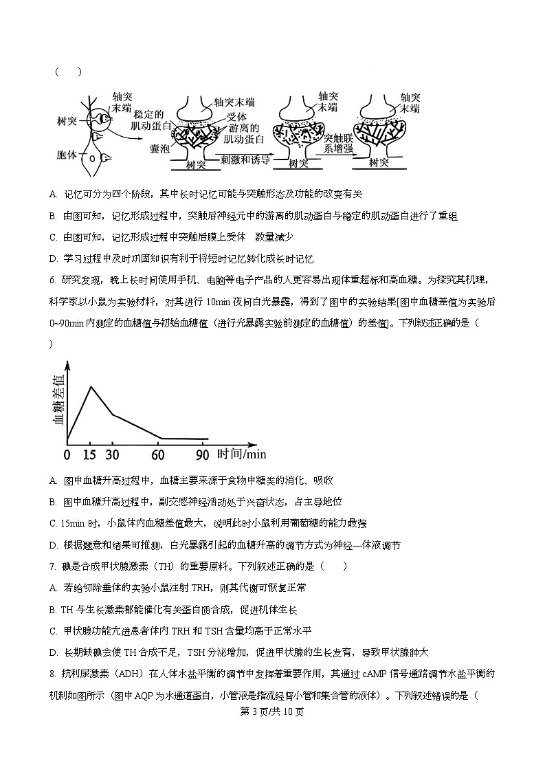 安徽省县中联盟2025-2026学年高二上学期12月月考生物卷  Word版无答案第3页