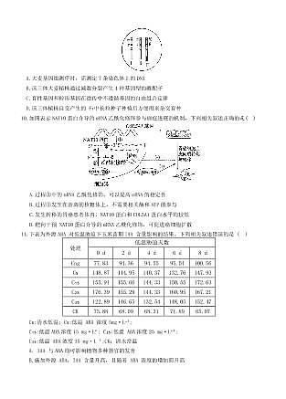 湖南师大附中2026届高三月考试卷（五）生物第3页