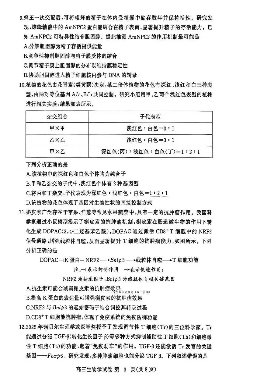 2025-2026学年黄冈高三上学期期末生物试题无答案第3页