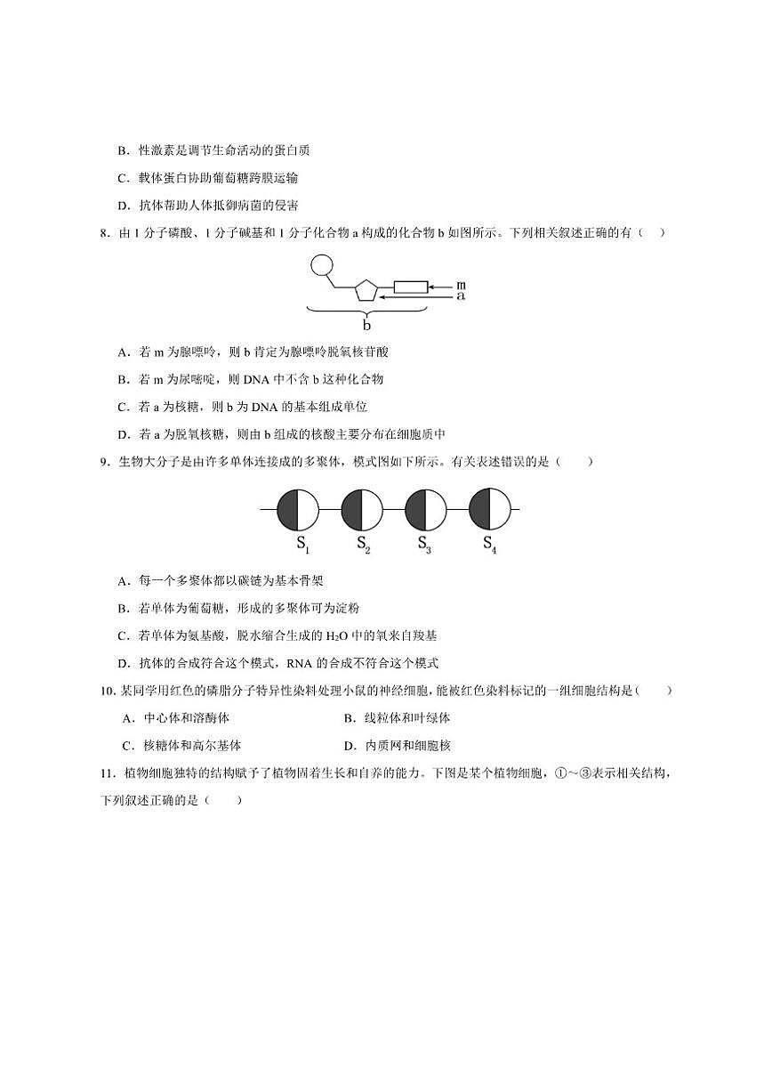 2025-2026学年安徽省“皖南八校”高一上学期期中考试生物试卷（有解析）第3页