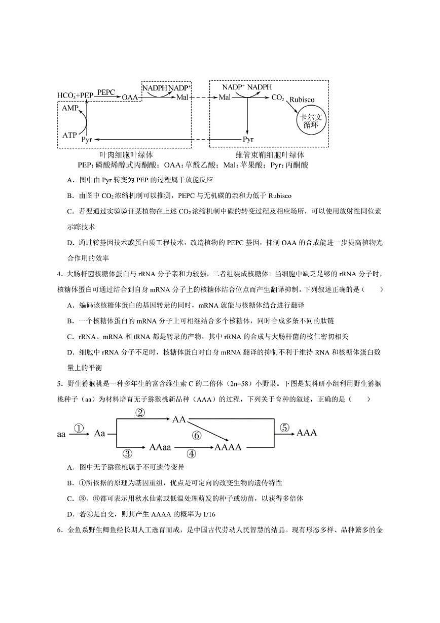 2025届山西省阳泉市高三上学期期末考试生物试卷（有答案）第2页