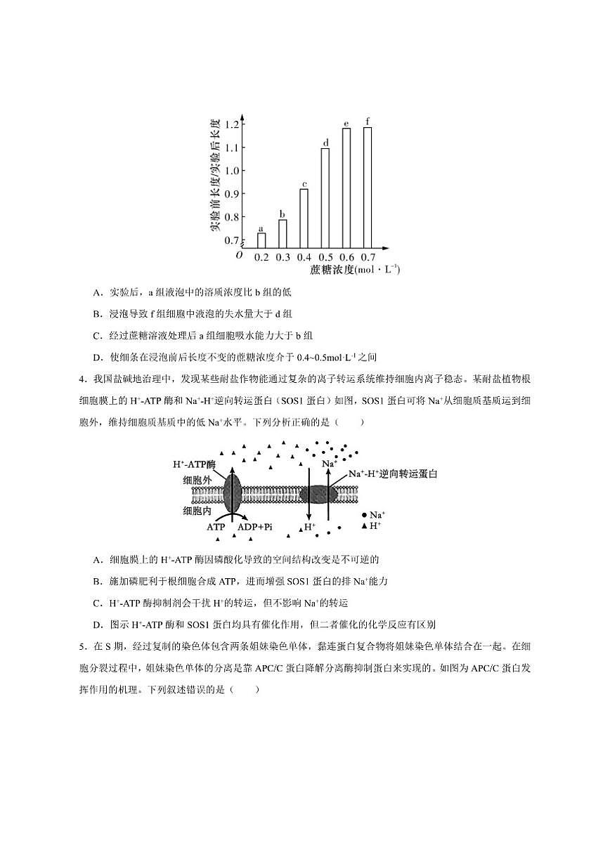 2026届四川省字节精准教育联盟高三上学期第一次诊断性检测生物试卷（有解析）第2页