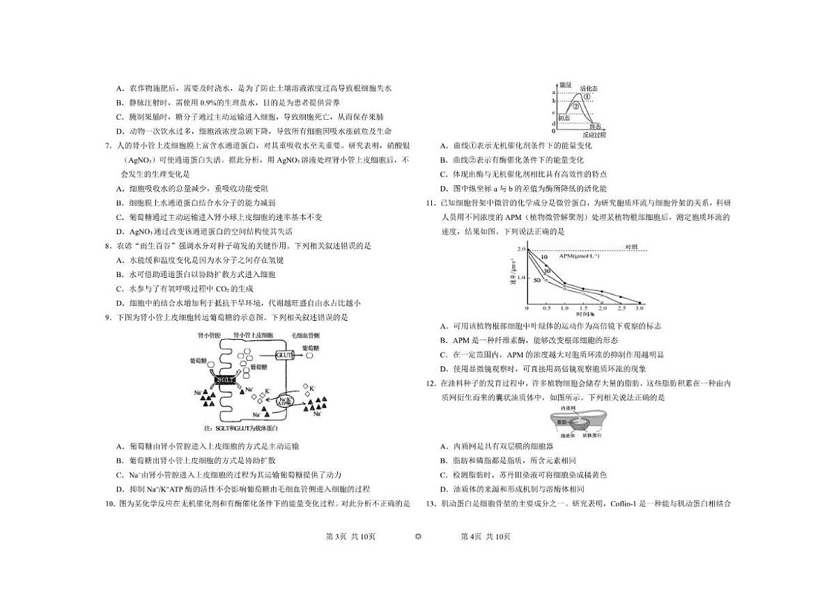 2025-2026学年吉林省长春市朝阳区长春外国语学校高一上学期12月月考生物试题（有答案）第2页