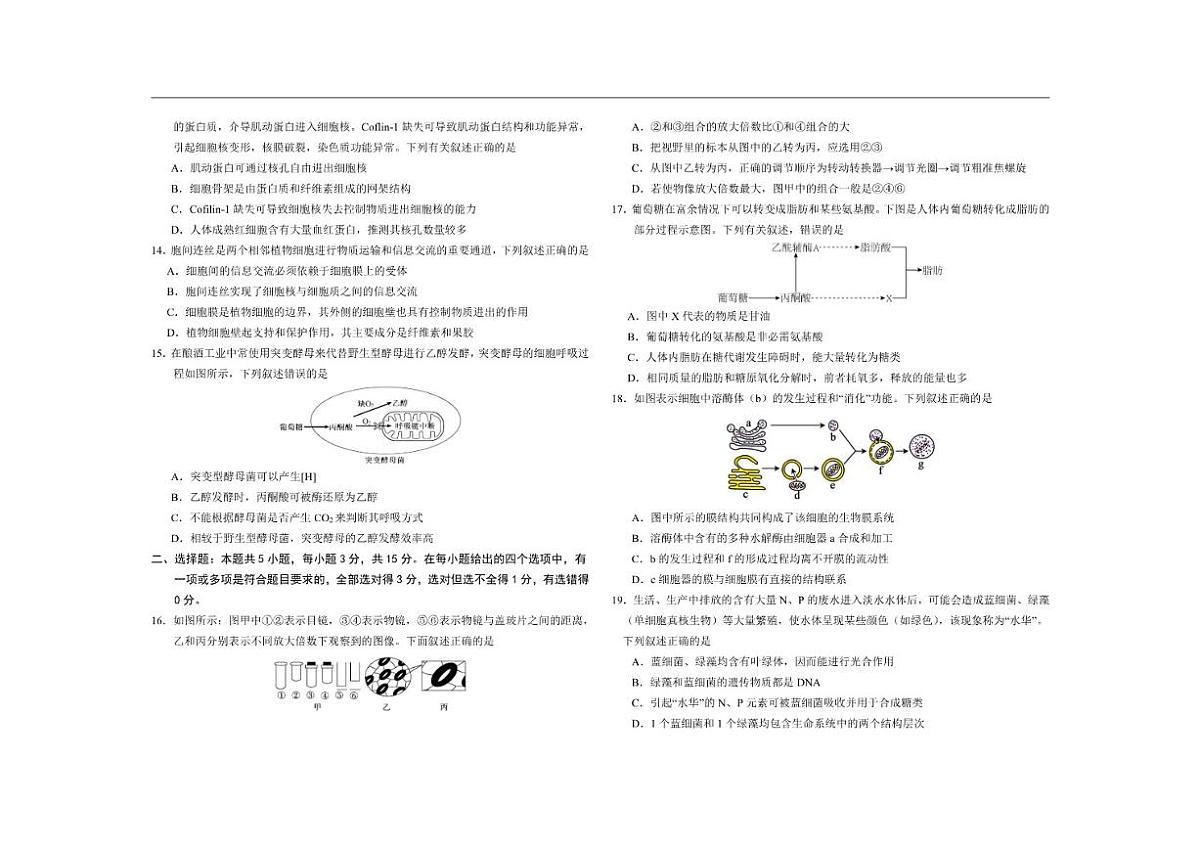 2025-2026学年吉林省长春市朝阳区长春外国语学校高一上学期12月月考生物试题（有答案）第3页