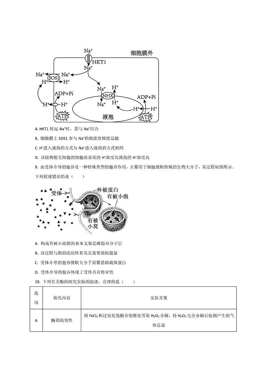 2025-2026学年江苏省扬州市四校高一上学期12月联考生物试卷（有答案）第3页