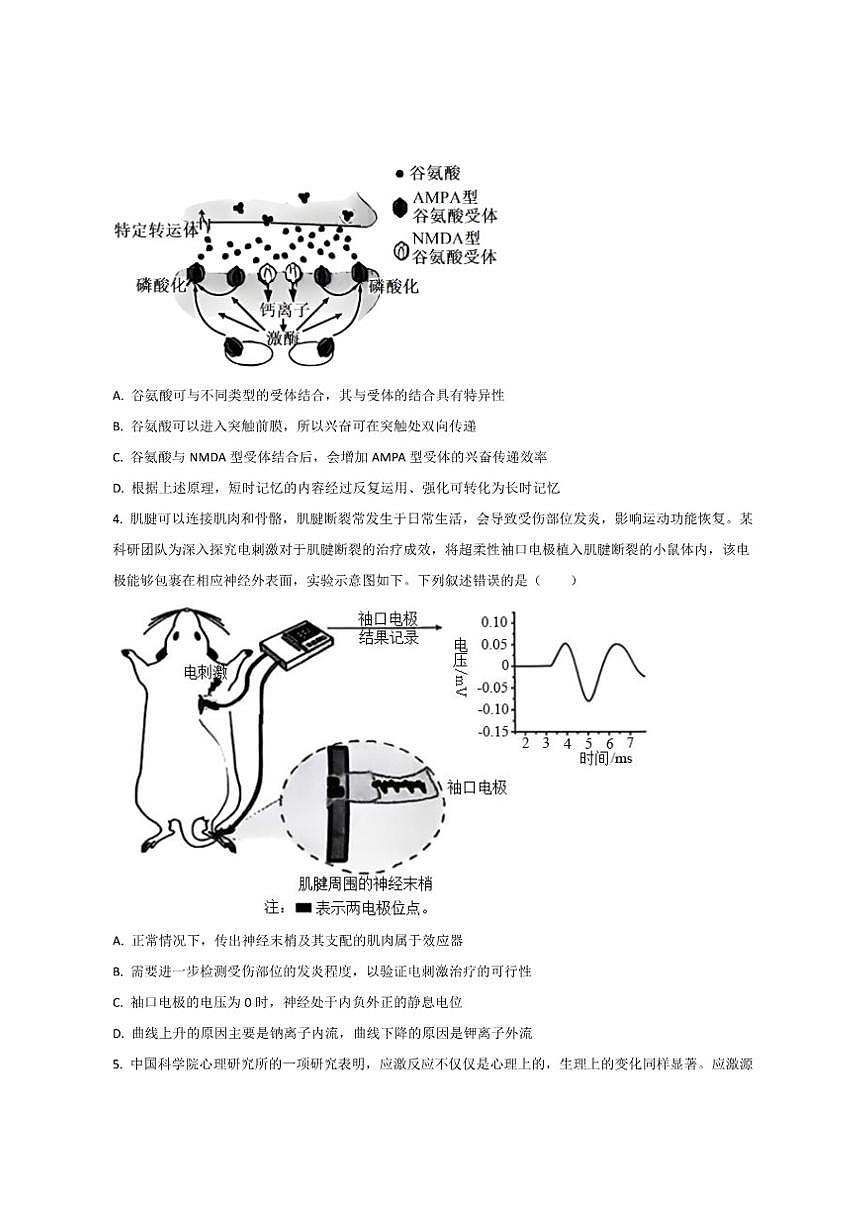 2025-2026学年河南省高二上学期第三次月考生物试卷（有答案）第2页