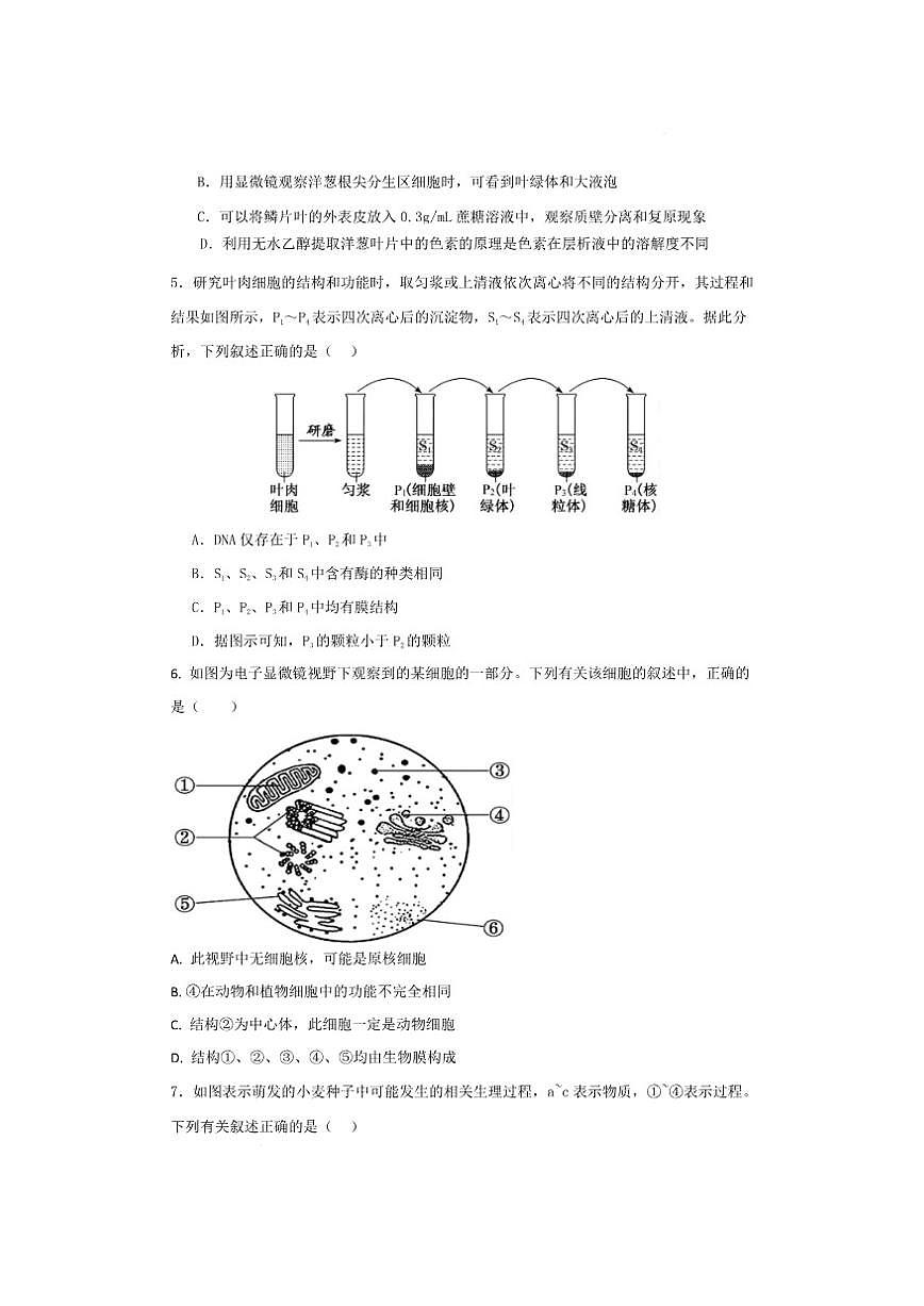 2025-2026学年湖南省常德市临澧县第一中学高一上学期12月月考生物试题（有答案）第3页