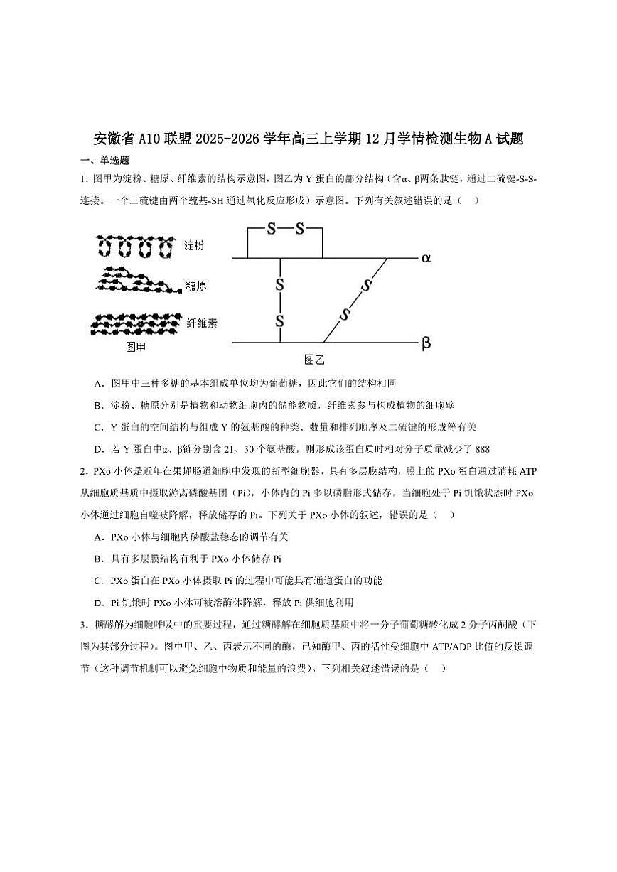 2026届安徽省A10联盟高三上学期12月学情检测生物（A）试卷（有答案）第1页
