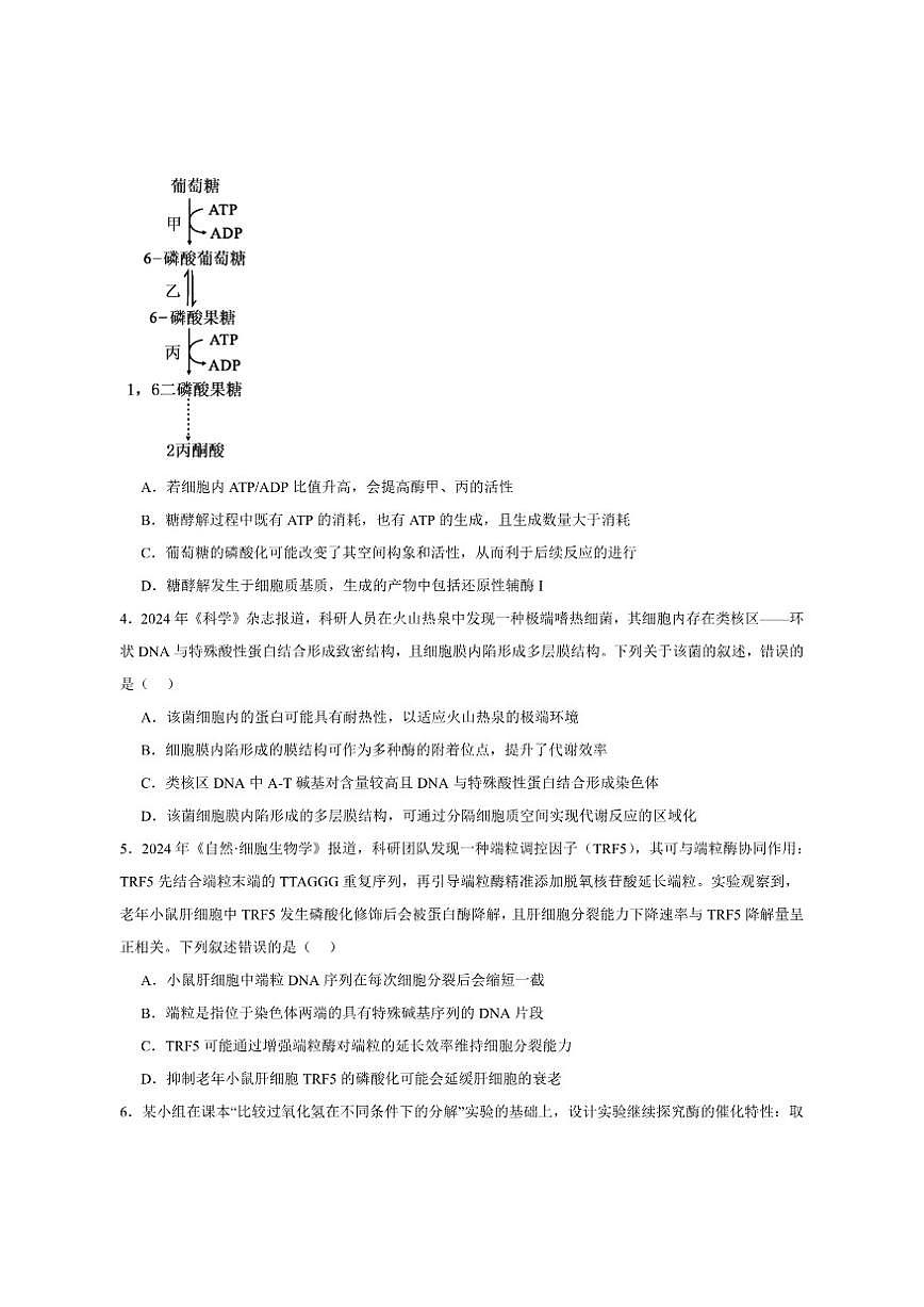 2026届安徽省A10联盟高三上学期12月学情检测生物（A）试卷（有答案）第2页