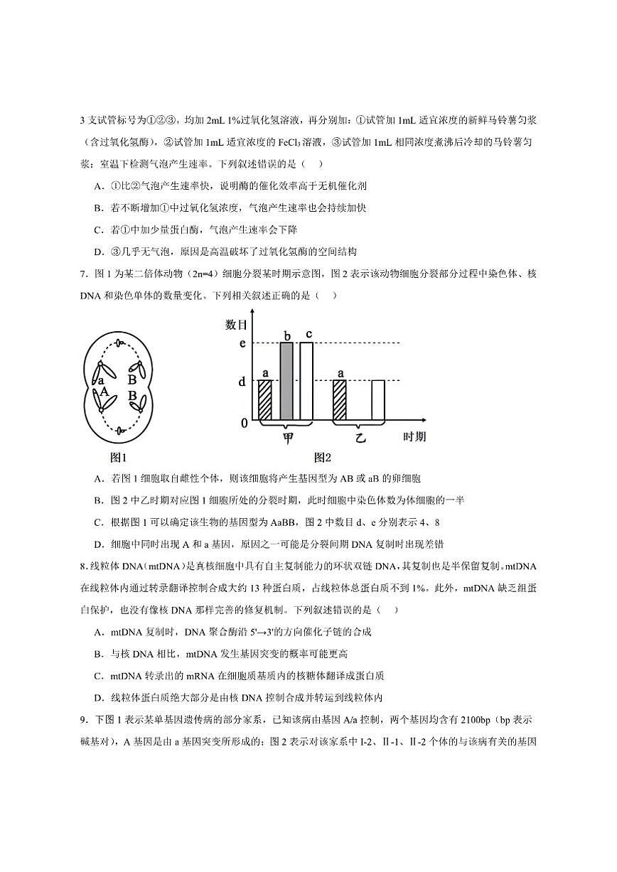 2026届安徽省A10联盟高三上学期12月学情检测生物（A）试卷（有答案）第3页