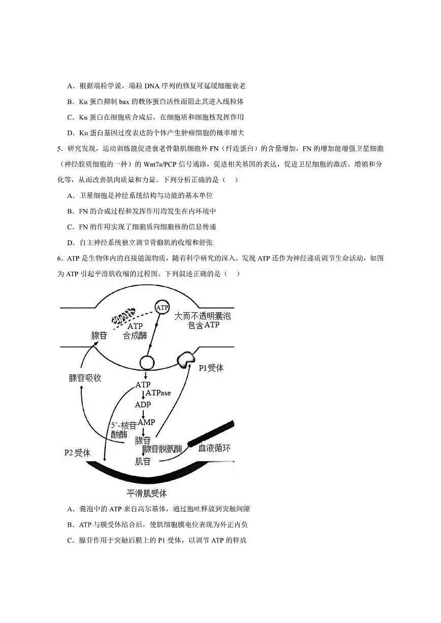 2026届四川省凉山州高三上学期第一次诊断性考试生物试卷（有答案）第2页