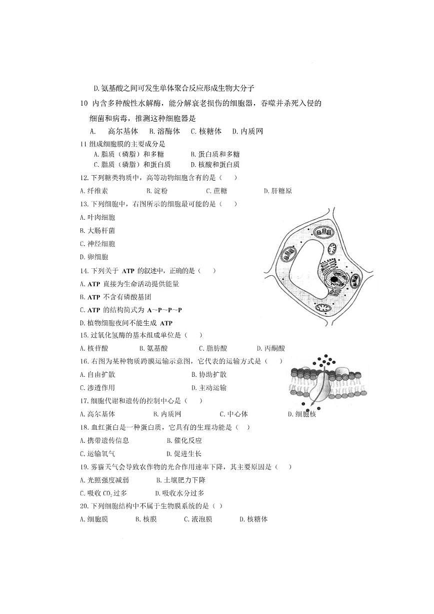 高一生物高一年级上12月月考生物学试卷及答案第3页