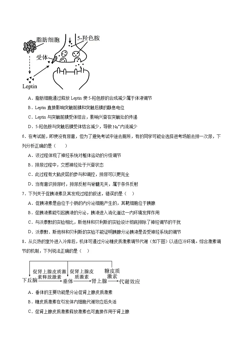 河北省邯郸市重点高中2025-2026学年高二上学期12月月考试卷 生物（含答案）第2页