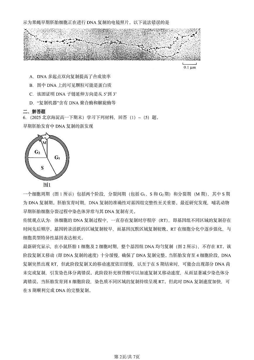 2025北京重点校高一（下）期末生物汇编：DNA的复制第2页