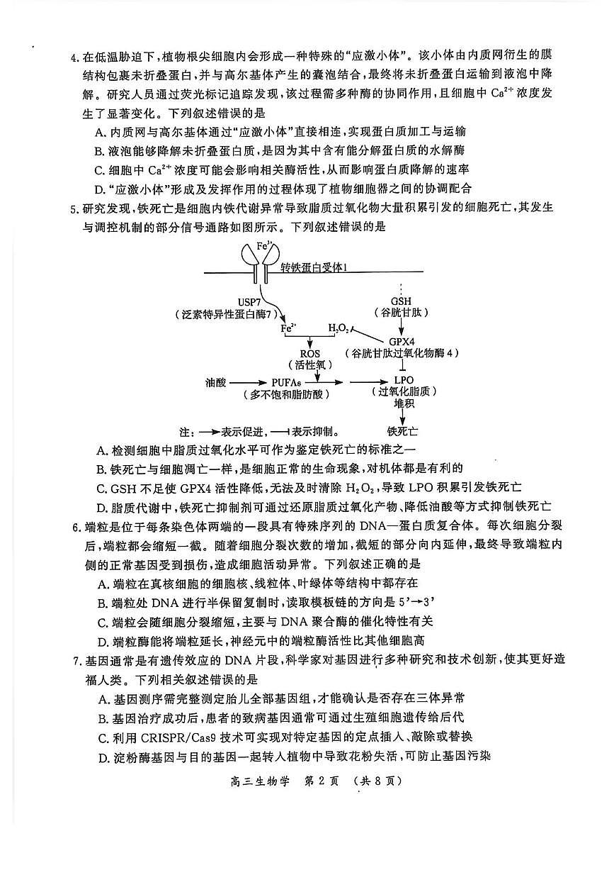 河南省开封市2026届高三上学期第一次质量检测（开封一模）生物试题+答案第2页