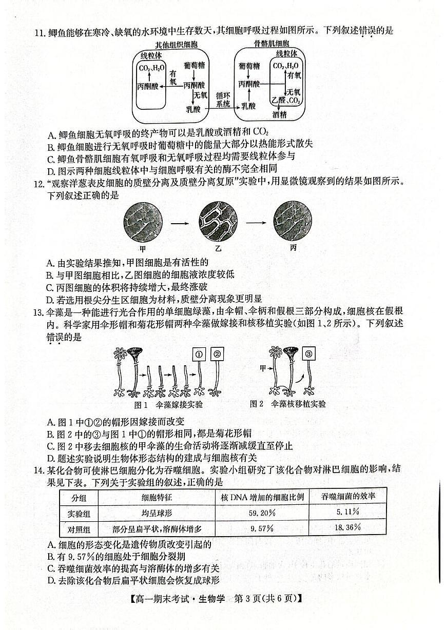 甘肃省酒泉市2025-2026学年高一上学期1月期末生物试题第3页
