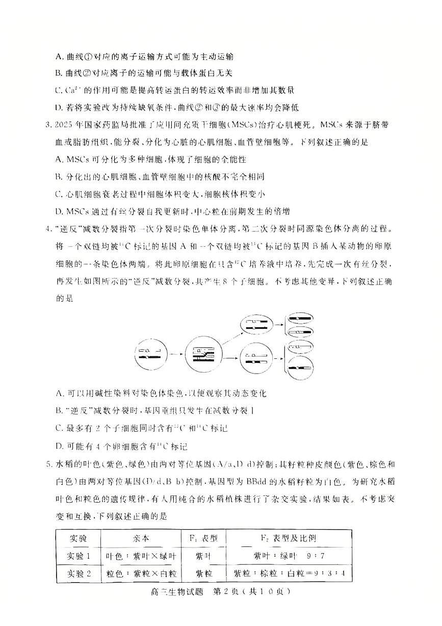 山东省济宁市2025-2026学年高三上学期期末检测生物试题第2页