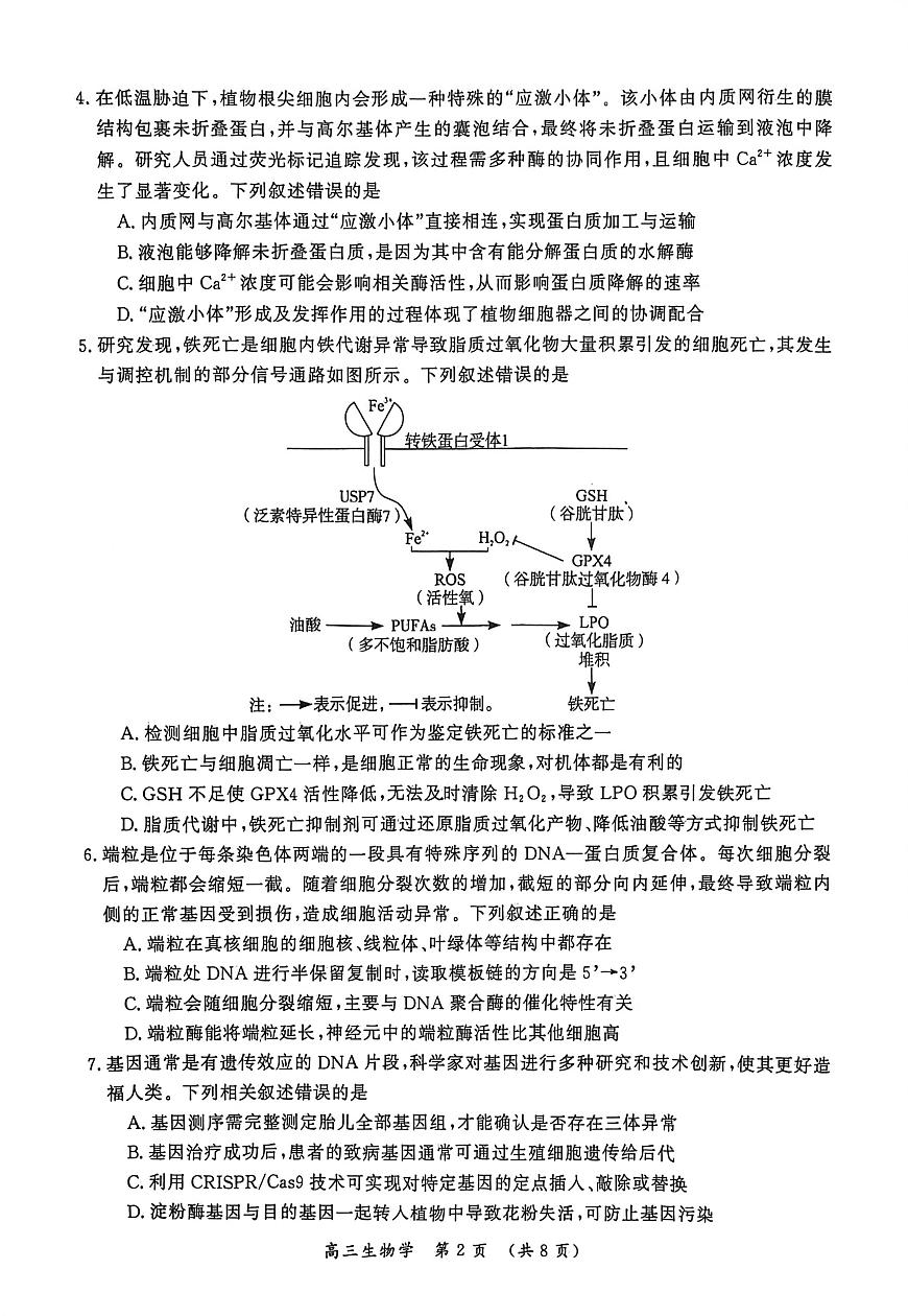 2026届河南省开封市高三一模生物试题（高考模拟）第2页
