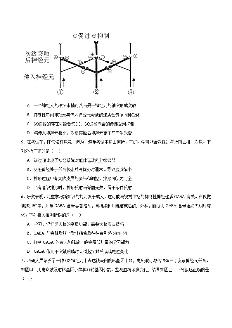 安徽师范大学附属中学2025-2026学年高二上学期期中考试 生物（A卷）Word版含答案第2页
