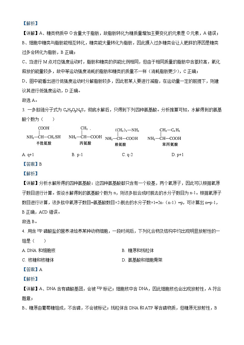 湖北省武昌实验中学2025-2026学年高一上学期十二月月考生物试卷 Word版含解析第2页
