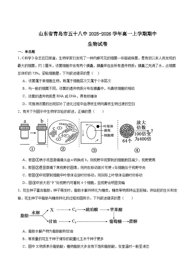 山东省青岛第五十八中学2025-2026学年高一上学期期中测试 生物 Word版含答案第1页