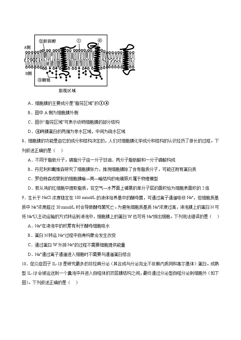 山东省青岛第五十八中学2025-2026学年高一上学期期中测试 生物 Word版含答案第3页