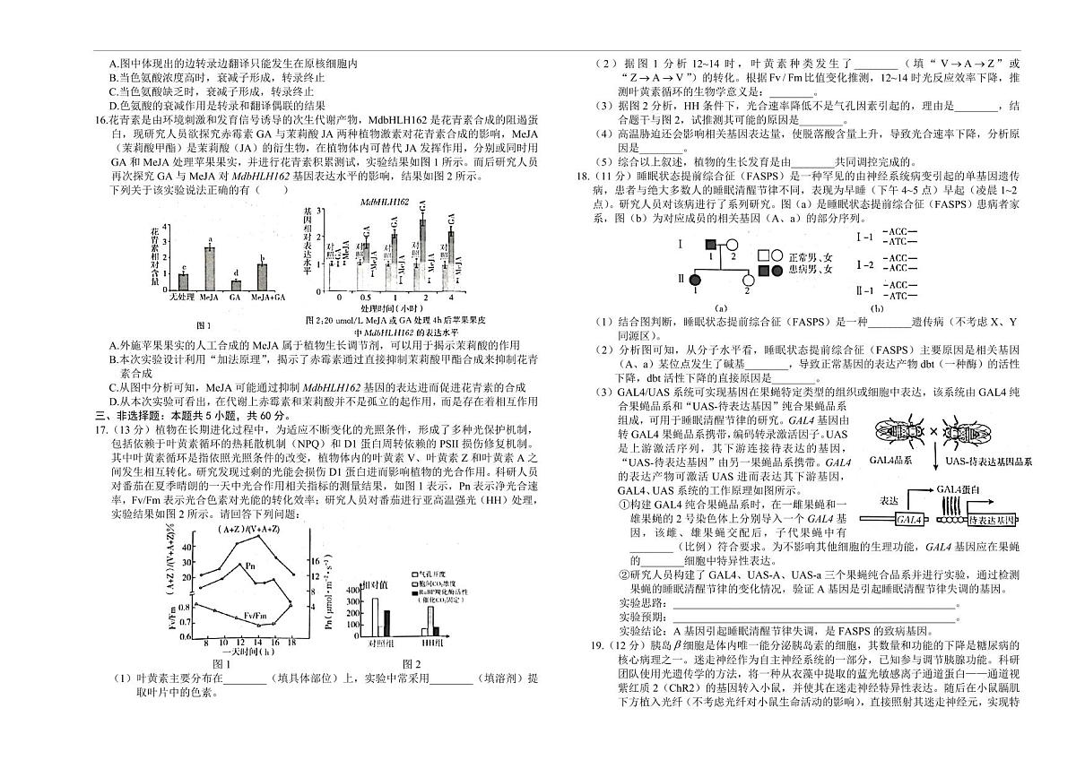 湖南省市、县级优质高中协作体2026届高三上学期元月二模联考 生物试卷（PDF版）(含答案）第3页