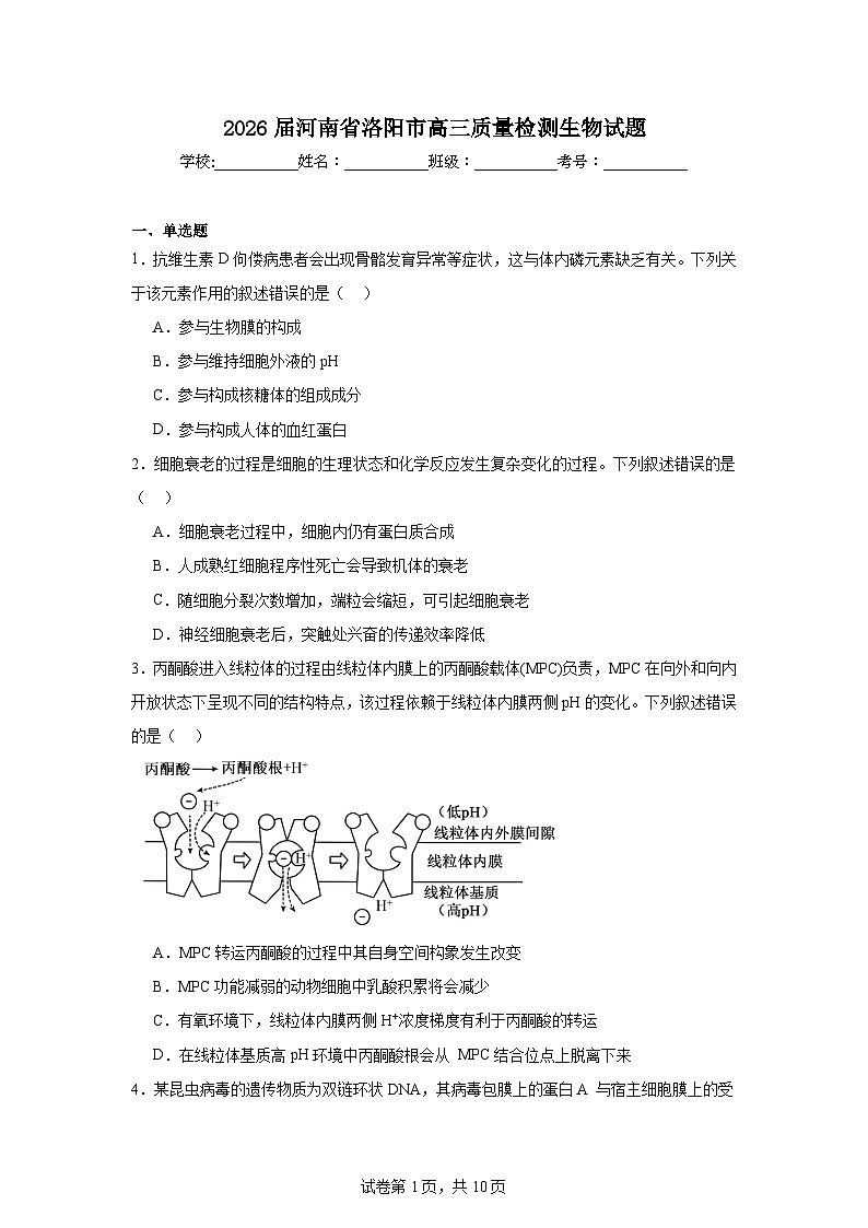 2025-2026学年河南省洛阳市高三质量检测生物试题（附答案解析）第1页
