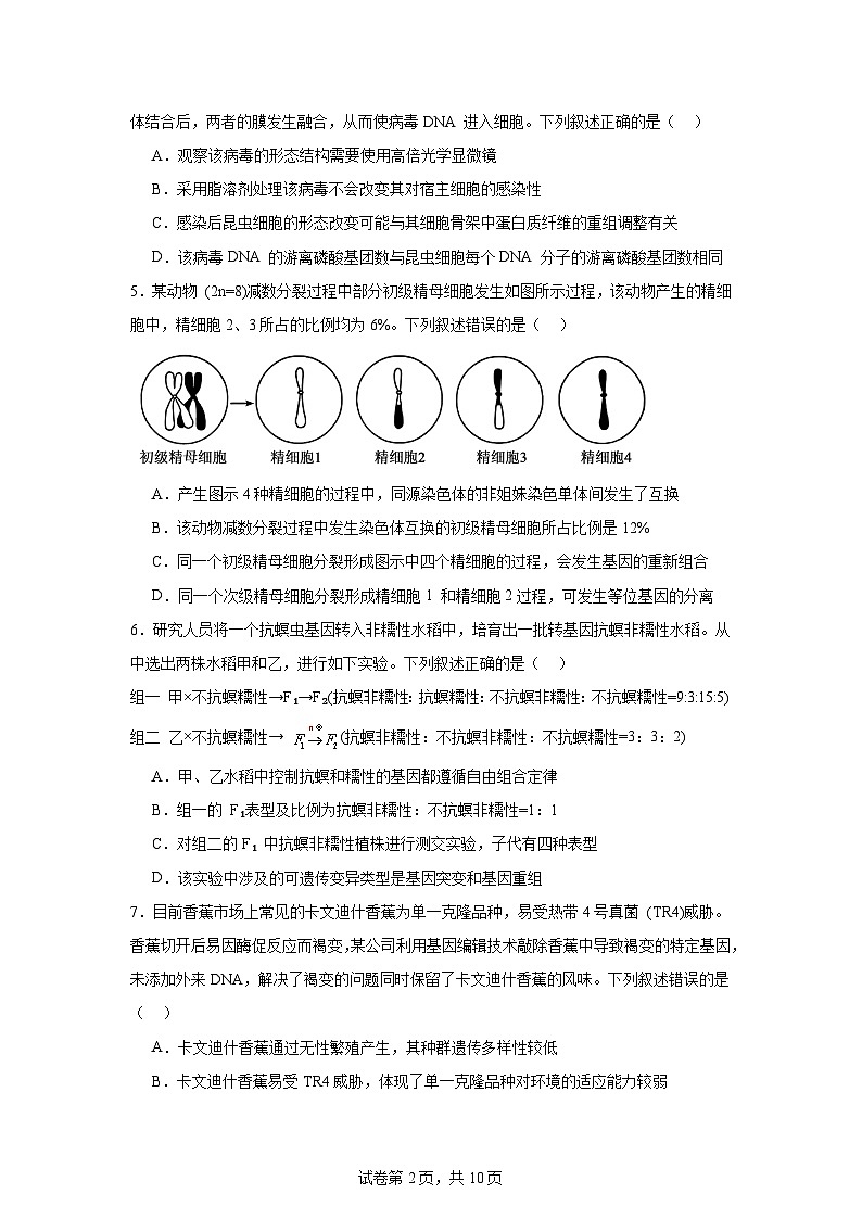 2025-2026学年河南省洛阳市高三质量检测生物试题（附答案解析）第2页