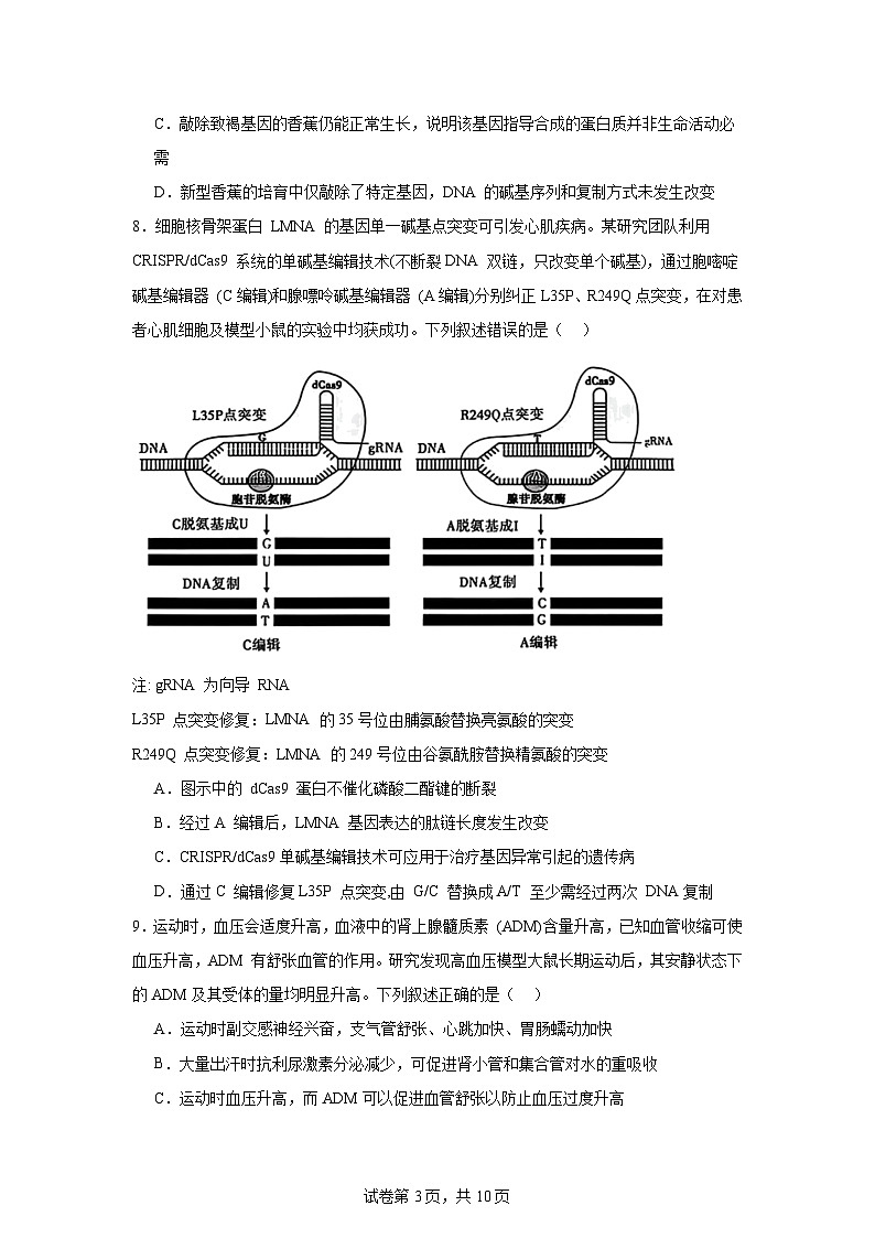 2025-2026学年河南省洛阳市高三质量检测生物试题（附答案解析）第3页