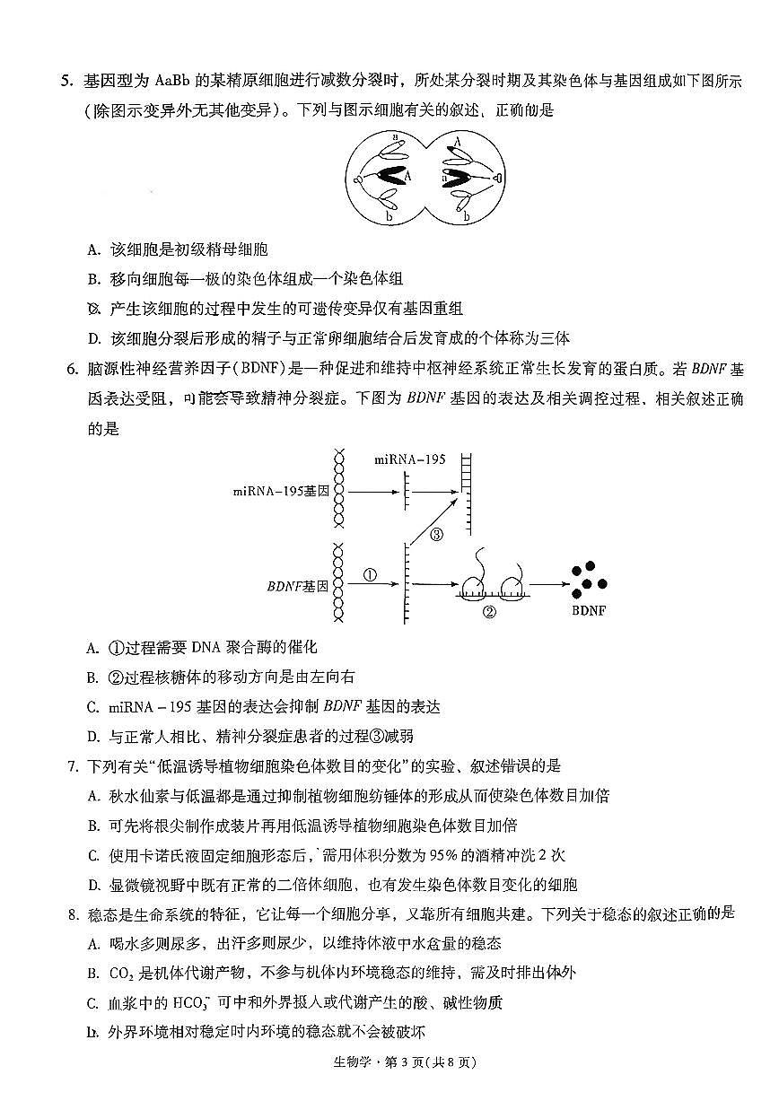 昆明市第一中学2026届高三年级上学期1月第五次联考生物试题+答案第3页