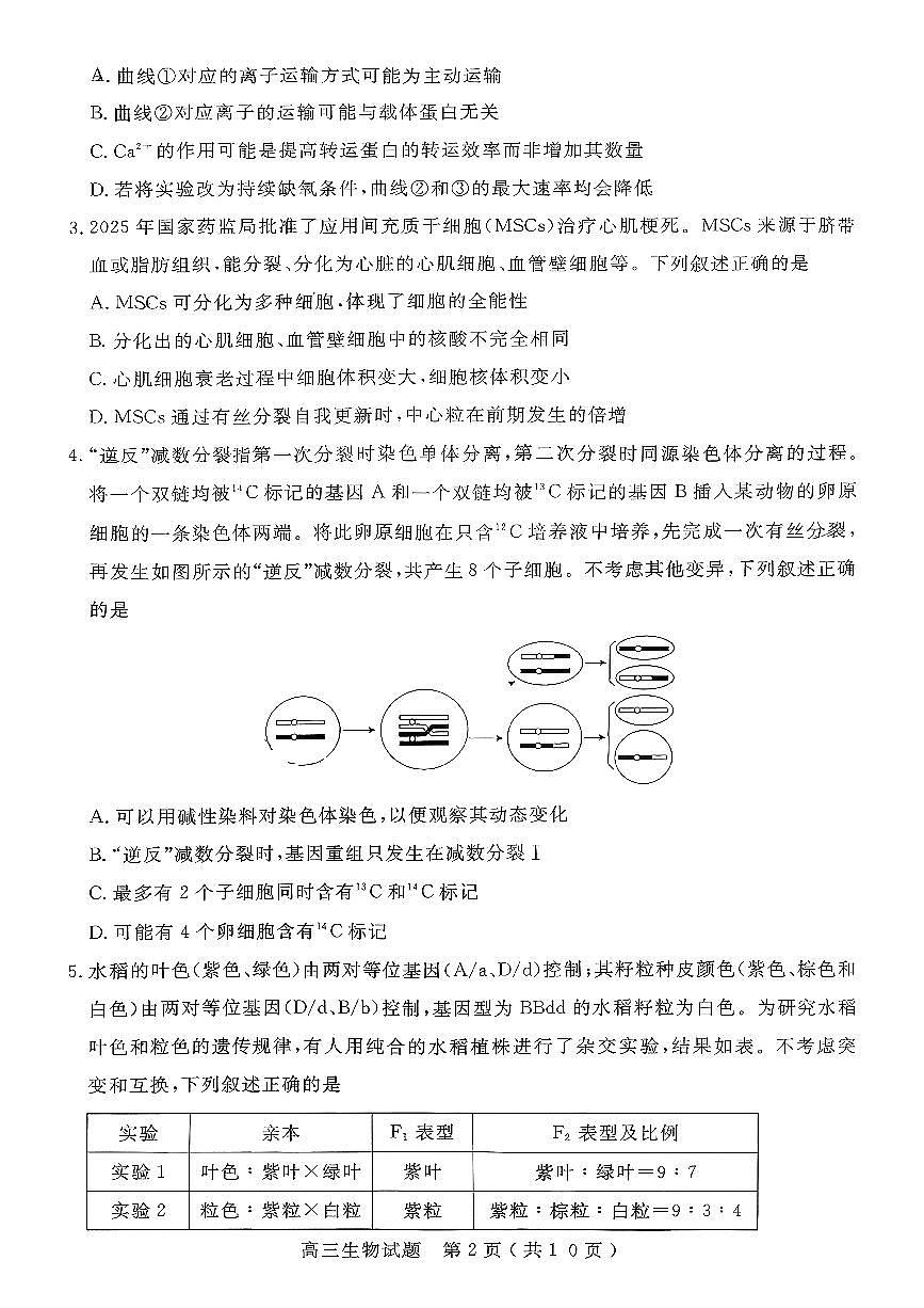 生物-山东省济宁市2025-2026学年第一学期高三质量检测(济宁一模)试卷及答案第2页