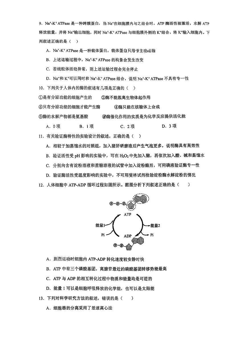 福建省南平市武夷山第二中学2025-2026学年高一上学期1月月考生物试题第3页