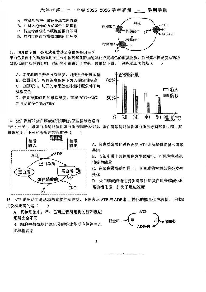 天津市和平区21中2025-2026学年高一上学期第二次月考生物试卷第3页