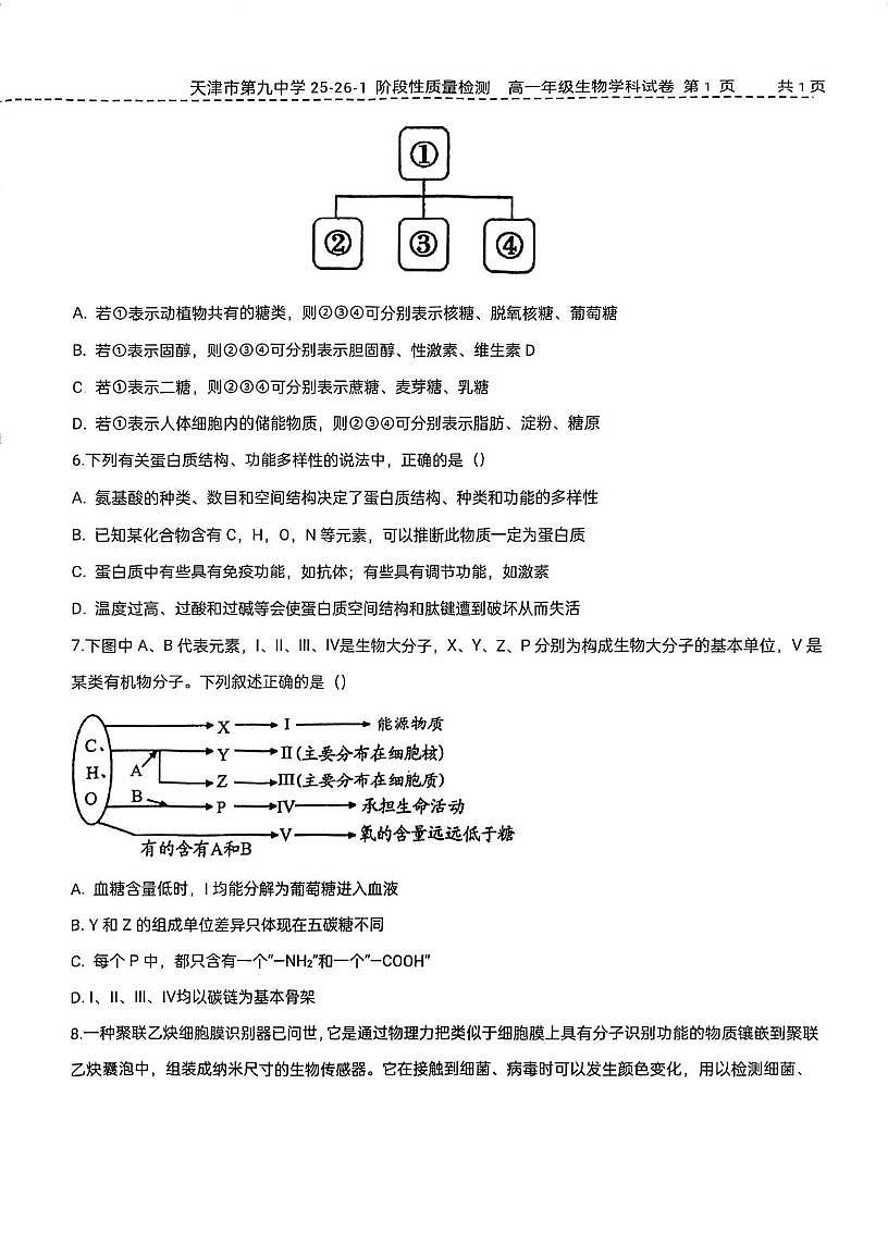 天津市南开区9中2025-2026学年高一上学期第二次月考生物试卷第2页