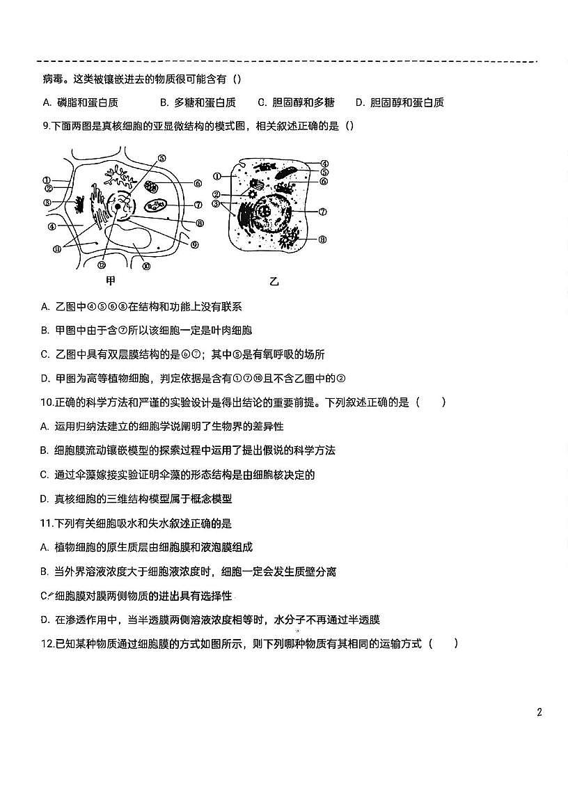 天津市南开区9中2025-2026学年高一上学期第二次月考生物试卷第3页
