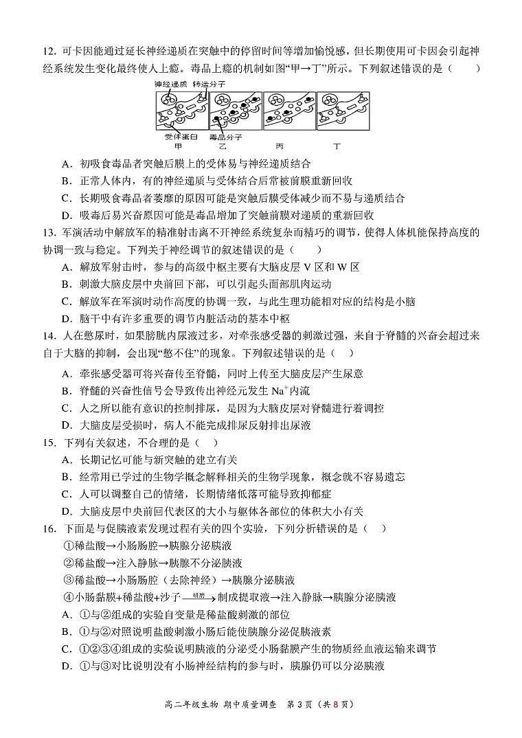 天津市嘉诚中学2024-2025学年高二上学期期中考试生物试题第3页