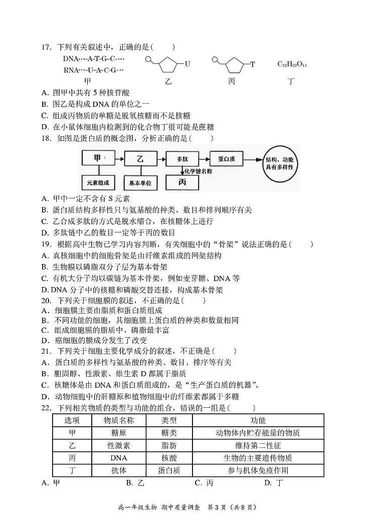 天津市嘉诚中学2024-2025学年高一上学期期中考试生物试题第3页