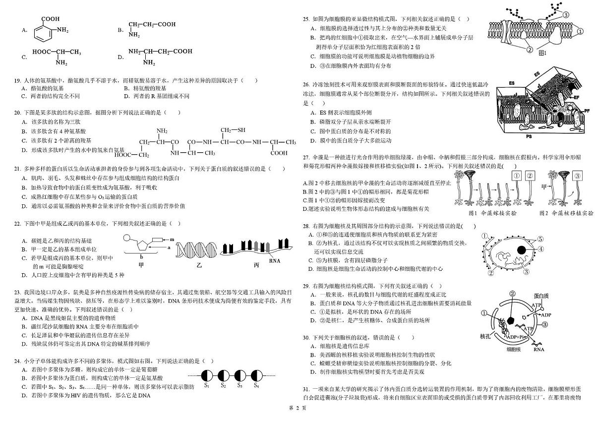 新疆乌鲁木齐市第七十中学2025-2026学年高一上学期期中考试生物试卷第2页